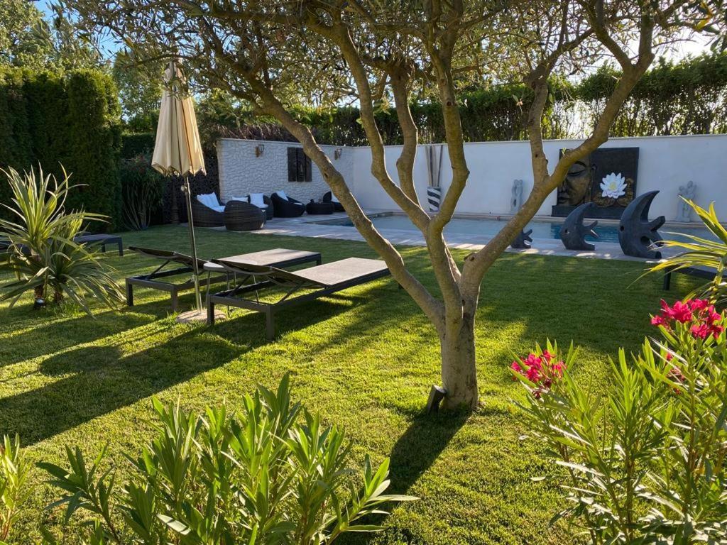 Mas Beau Soleil & Spa Cottages De Charme Avec Jacuzzi&Jardin Prives Saint-Rémy-de-Provence Exteriör bild